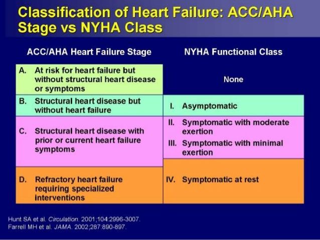 heart-failure-pathogenesis-and-current-management-25-638